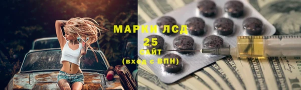 ПСИЛОЦИБИНОВЫЕ ГРИБЫ Аркадак