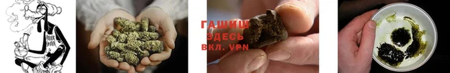 ПСИЛОЦИБИНОВЫЕ ГРИБЫ Аркадак